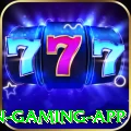 377bra Champion Gaming App